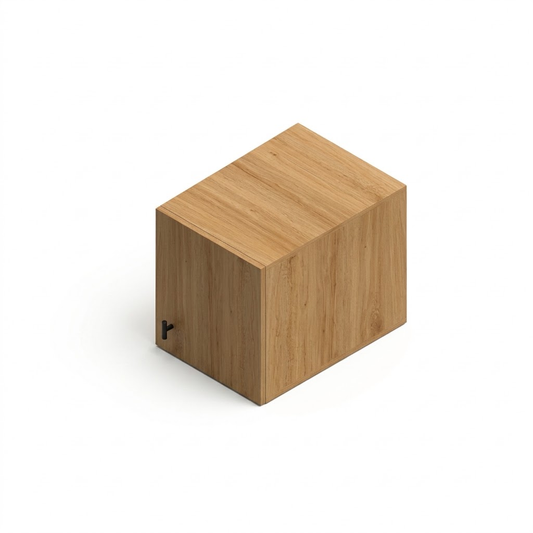1-Door Wardrobe Top Module
