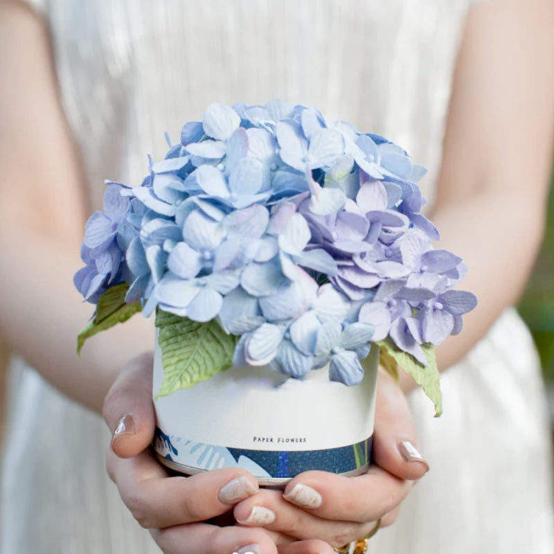Blue Rhapsody Hydrangea Paper Flower Tin